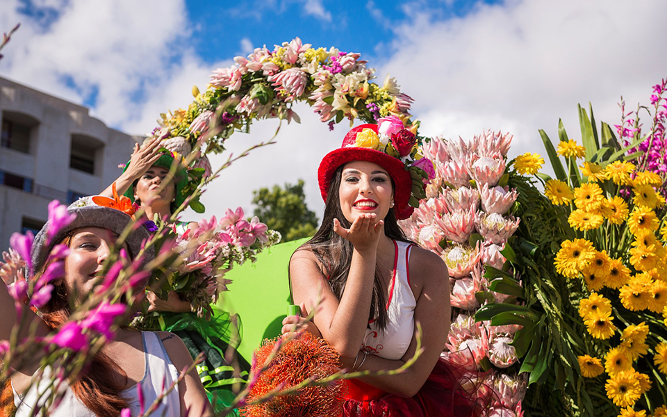 FESTA DEI FIORI basic
