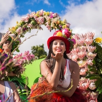 FESTA DEI FIORI All-Inclusive