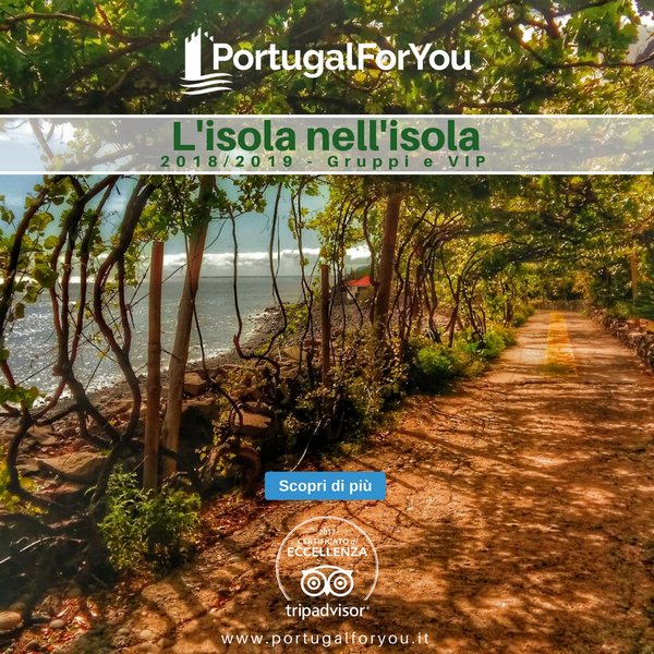 Lisola nellisola azzurro resize